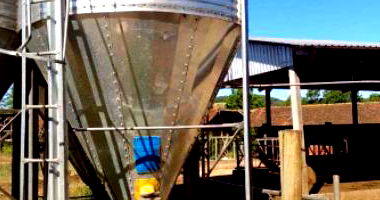 Silo metálico Paludo com 2 unidades, ano 2018, desocupado