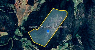 Fazenda Santa Bárbara do Piracanjuba - 78,86 Hectares