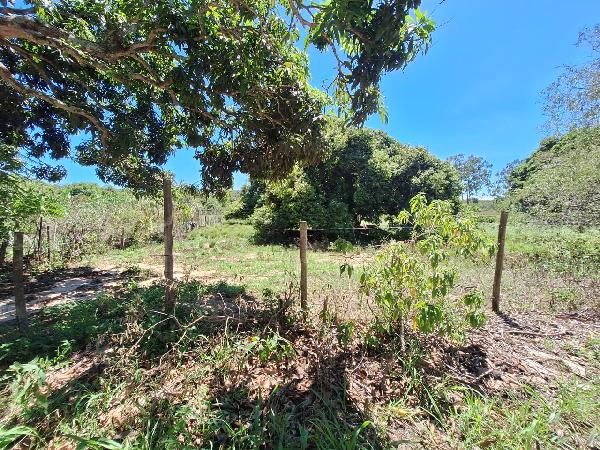 Terreno de 1000m² em loteamento