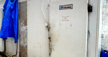 Câmara Fria, Container Habitável e Desfibrilador Cardíaco em Gravatá