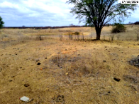 Sítio Rural com 35,33 Hectares e Benfeitorias