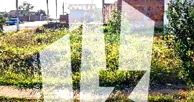 Terreno 180,62m² em Lins/SP