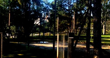 Três Imóveis Urbanos em Erechim/RS com Área Total de 8.912,03m²