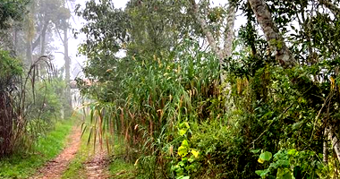 Chácara com 230m² construída, 27.200m² de terreno, 3 quartos e 2 banheiros