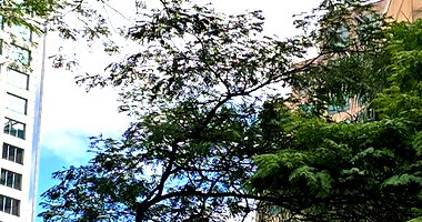 Apartamento 1 vaga, 57.76m², Ed. The Time Convention, desocupado