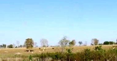 Sítio Rural com 4 alqueires, Gleba de 19,36 ha, Ocupado
