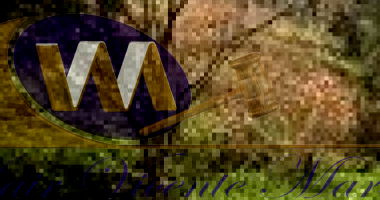 Área de 20.000 m² com Benfeitorias em Chapecó-SC