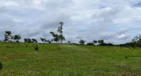 Imóvel Rural com 12,08 Hectares em Cabeceira Grande/MG