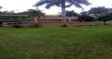 Terreno Rural com galpão 410m² e casa 184m² em bom estado