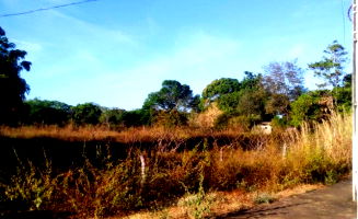 Fazenda com 487,7ha e Terreno de 3.057m² em Lagoa da Confusão/TO