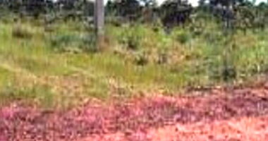 Terreno 360m² em Vila Klareana I