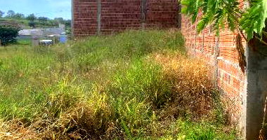 Terreno 160m² com ótima localização, desocupado