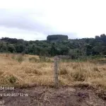 Terreno Rural de 31.632m² em Vila Nova, Mafra/SC