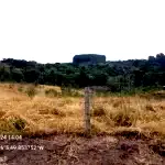 Terreno Rural de 31.632m² em Vila Nova, Mafra/SC