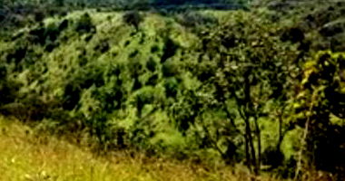 Fazenda Santa Fé com 214,634ha e benfeitorias