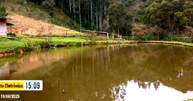 Terreno Rural com 11,516 Ha em Aurora-SC