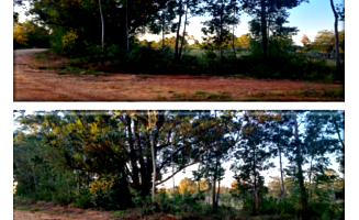 Terreno Rural com 960m² em Eldorado do Sul/RS