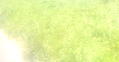 Gleba Urbana Ampla em Bom Jesus da Lapa/BA