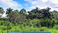 Terreno Rural de 1,4440 ha em Turiaçu - MA