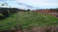 Imóvel Rural com 5.000m² em Maximiliano de Almeida - RS