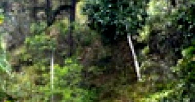 Terreno amplo de 60.000m² com córrego e mata nativa