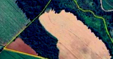 Gleba de Terras Rural em Casa Branca/SP