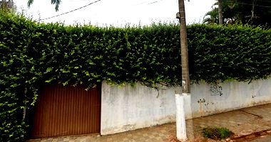 Terreno com prédio e kitnets em Itapeva/SP