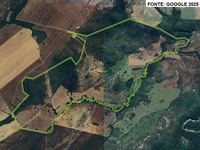 Fazenda com 403,2668 hectares em Vila Propício/GO