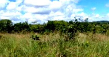 Terreno Amplo em Itaporanga d'Ajuda - 61.080 m²