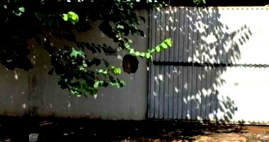Terreno com 335,40m² em Goiatuba/GO