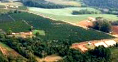 Imóvel Rural com Área Total de 21.323m² em Tomazina/PR