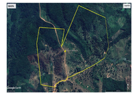 3 Imóveis Rurais com 76,74ha - Ocupados