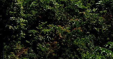 Terreno Rural de 279.900m² Desocupado