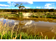 Terreno Amplo com 15.000m² em Paranaíta/MT
