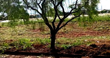 Terreno com 335,90m² em Terra Roxa/PR