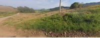 Terreno rural de 151.000m² em Serafina Corrêa