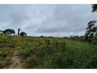 Chácara 2,1165 ha com Gleba 1 em Lagoa Seca/PB - 50% ideal