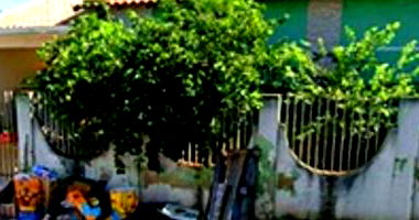 Casa Residencial com 90m² de Área Construída em Colorado/PR