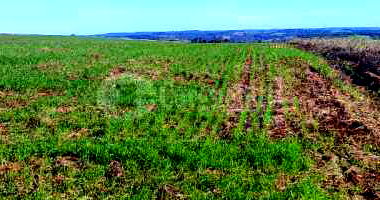 Fração de terras rurais de 17.865,5m² em Roque Gonzales