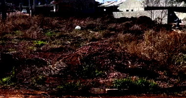 Terreno com 320,88m² em Ponta Grossa - PR