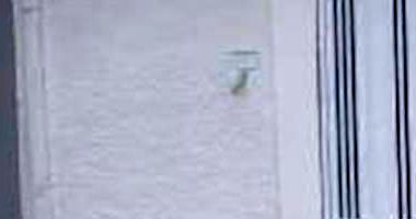 Casa Ocupada com 3 Quartos em Ribeirão Preto/SP