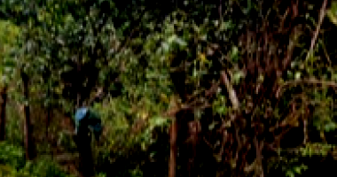 Lote residencial desocupado com 375,29 m² de terreno