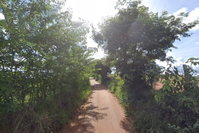 Imóvel Rural de 42,20 ha em Campo Belo/MG