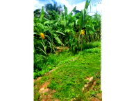 Terreno com 491,92m² em Bujari/AC - Oportunidade Única!