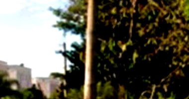 Apartamento 48m² com 1 vaga em Ribeirão Preto