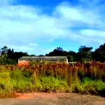 Espaçoso Terreno de 866,80 m² para Investimento Único