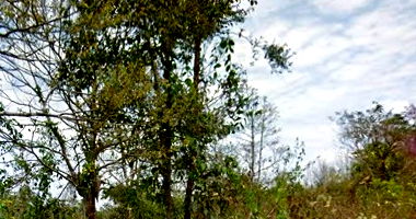 Imóvel Rural com 3.494.386m² em Sena Madureira, área extensa