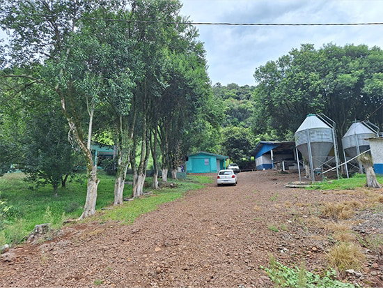 Terreno Rural 50.000m² em Constantina - RS