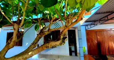 Terreno com 300m² e 60m² construídos em Santo Augusto/RS