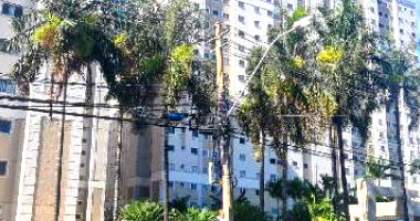 Apartamento com 2 quartos em Taguatinga/DF